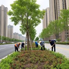 世界杯官网 刑罚关于毁坏城市绿化
