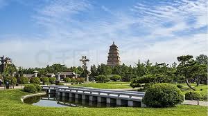世界杯官网 小王绿化工程有限公司